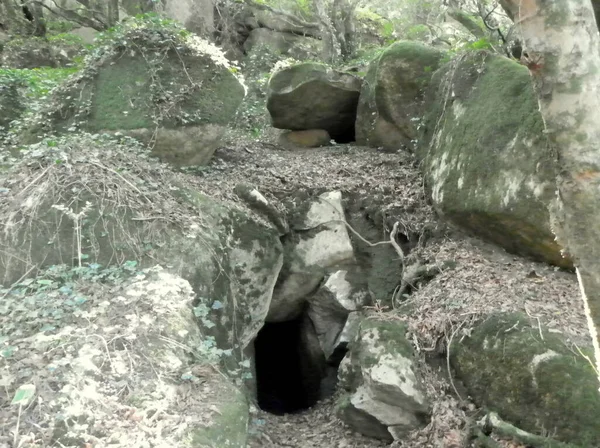 Portugal Sintra Pena Park Park Steinhöhle — Stockfoto