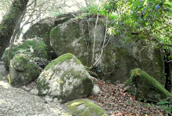 Portugal Sintra Pena Park Park Area Stone Blocks — Stock Photo, Image