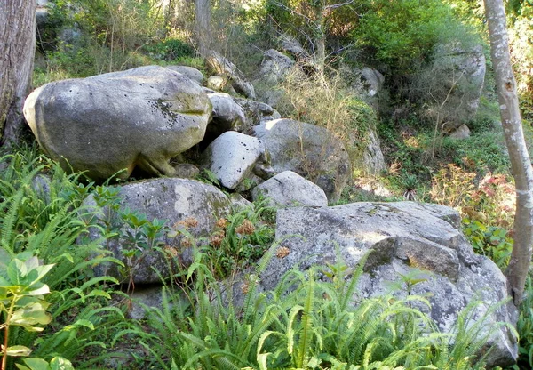Πορτογαλία Sintra Pena Park Περιοχή Πάρκου Πετρώματα — Φωτογραφία Αρχείου
