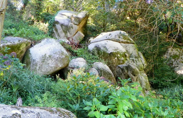 Portugal Sintra Parque Pena Zona Parque Blocos Pedra — Fotografia de Stock