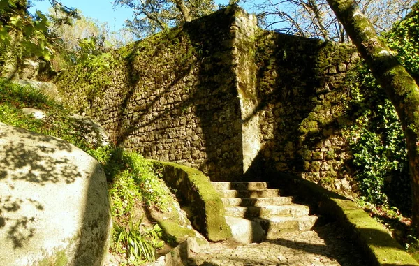 Portugal Sintra Château Des Maures Castelo Dos Mouros Territoire Forteresse — Photo