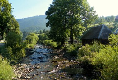 Ukrayna, Transcarpathia, Synevyrska Polyana, Tereblya Nehri ve kırsal alan