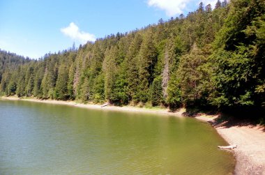 Ukrayna, Transcarpathia, Synevir Gölü, Göl ve Dağ Ormanları