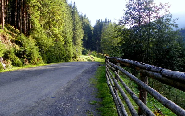 Ucrania Transcarpathia Synevyrska Polyana Carretera Bosque Alta Montaña — Foto de Stock
