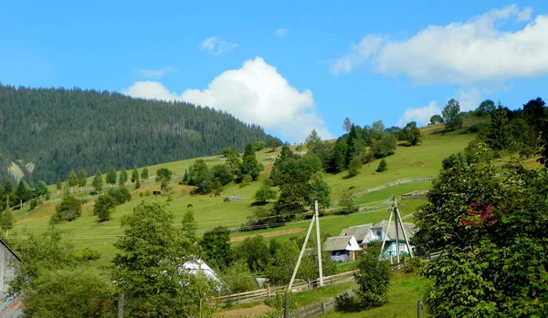 Ucraina Transcarpazia Synevyrska Polyana Gli Altopiani Del Paesaggio Forestale — Foto Stock