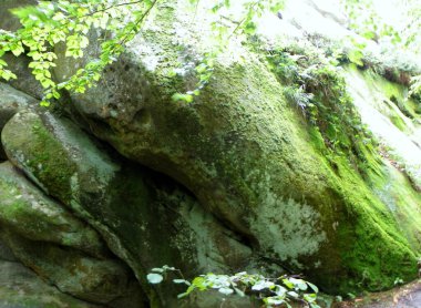 Ukrayna, Karpatlar, Tustan Kayalık Kalesi, kayalar ve doğa manzarası
