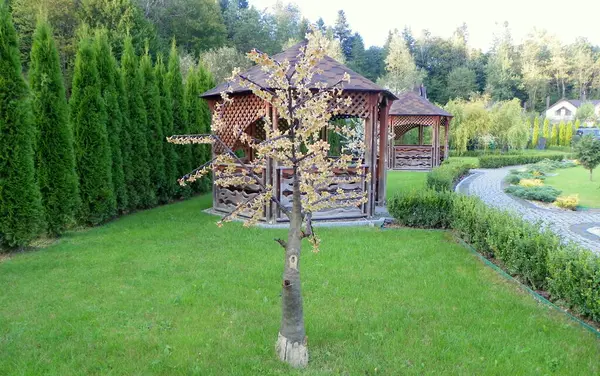 Ukrayna, Skhidnytsia, eğlence kompleksinin bölgesinde park tasarımı