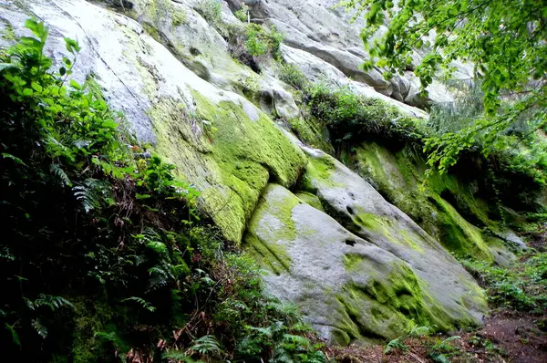 Ukraine Carpates Forteresse Tustan Cliff Vue Sur Les Rochers Nature — Photo