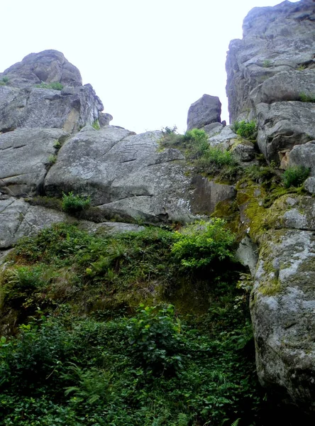Ukraina Karpaty Tustan Cliff Forteca Widok Skały Przyrodę — Zdjęcie stockowe
