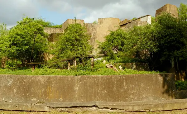 stock image Poland, Warsaw, Ratuszowa 1/3,  Warsaw Zoological Garden (Warsaw Zoo), African lion enclosure