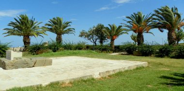 Yunanistan, Girit, Heraklion, Nikos Kazantzakis ve Manos Hatzidakis Parkı, palmiye ağacı meydanı ve çalılar