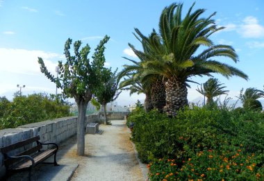 Yunanistan, Girit, Heraklion, Nikos Kazantzakis ve Manos Hatzidakis Parkı, palmiye ağaçları ve çalılar