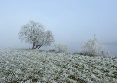 Ukrayna, Prykarpattia, Dolyna, sonbaharda soğuk havalarda şehir gölünün doğası ve manzarası