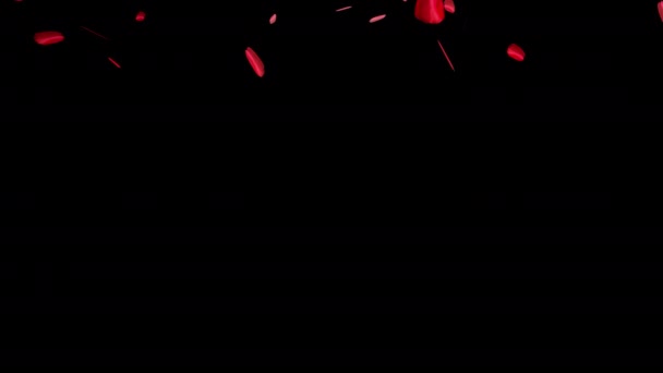 Vallende Rozenblaadje Lus Animatie Video Transparante Achtergrond Rozenblaadjes Roterende Val — Stockvideo