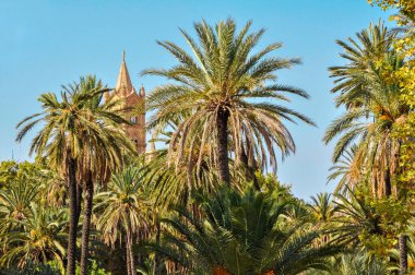 Palermo Katedrali parktaki palmiye ağaçlarının arkasından görüldü.