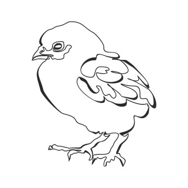 Küçük şirin tavuğun aralıksız çizdiği tek çizgi. Eğlenceli tavuk çiftliği. Bir çizgi tasarımı vektör illüstrasyonu