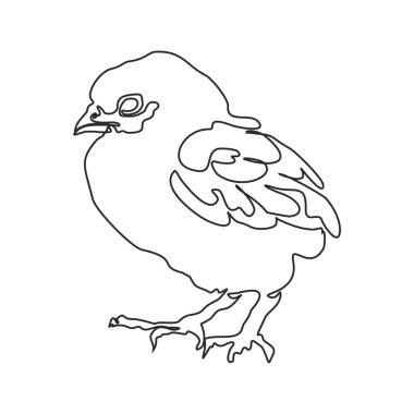 Küçük şirin tavuğun aralıksız çizdiği tek çizgi. Eğlenceli tavuk çiftliği. Bir çizgi tasarımı vektör illüstrasyonu