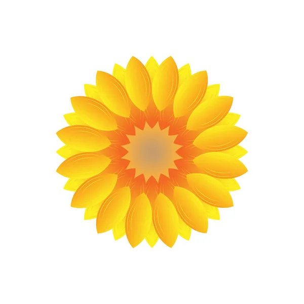 Cartoon Sonnenblumen Symbol Pflanze Florales Design Frühlingsflorales Muster Vektorillustration Aktienbild — Stockvektor