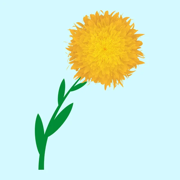 Желтый Пушистый Реалистичный Цветок Растительный Цветочный Дизайн Векторная Иллюстрация Eps — стоковый вектор