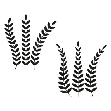 Buğday dalı simgesi. Tarımsal bitki grafiği. Kırsal doğa vektörü. Asgari botanik sembolü. EPS 10.