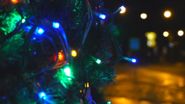 Крупные Ветви Рождественского Дерева Украшены Яркими Гирляндами Открытом Воздухе Светящимися — стоковое видео