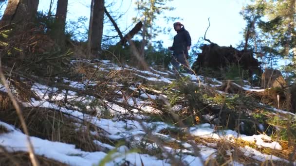 Ein Männlicher Tourist Geht Den Hang Des Kiefernwaldes Hinunter Junge — Stockvideo
