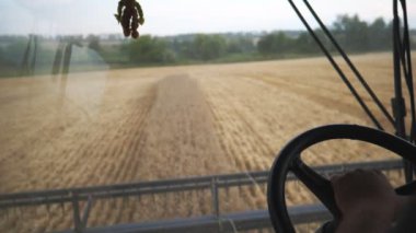Erkek eli direksiyon tutarken ve hasat sırasında kontrolü ele alırken yakın durun. Hasat tarlasında çalışan tanınmayan bir çiftçi. Arka plan bulanık. Yavaş çekim.