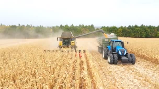 空中拍摄联合加载谷物进入牵引拖车 收割期间农业机械在农田里工作 耕作的概念 — 图库视频影像