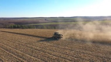 Çağdaş hasat makinesinin üzerinde uçmak güneşli bir günde tarlada olgun mısır hasadı toplamak. Kırsal kesimlerde sürüşü birleştirip sarı mısır saplarını kesiyor. Hasat sırasında tarlaların havadan görüntüsü. Yavaş çekim.