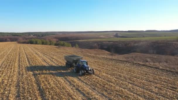 Létání Nad Zemědělským Strojem Projíždějícím Zemědělskou Půdou Obilím Přívěsu Traktor — Stock video