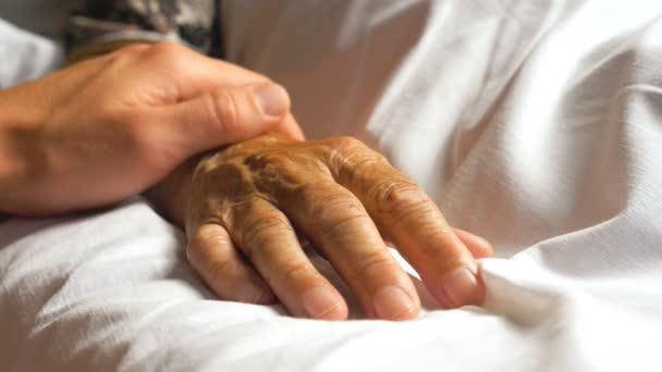 难以辨认的忧心忡忡的男人轻轻地抚摸着生病的祖母的手 给予支持 儿子抚慰着躺在医院床上的年老妈妈皱巴巴的胳膊 照顾或爱护年迈父母的人 — 图库视频影像