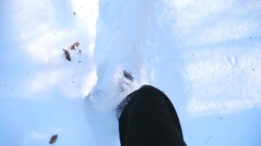 Erkek bacaklarının derin kara basışının en üst görüntüsü. Gösterişli ormanda yürüyen tanınmamış bir erkek yürüyüşçü. Adam dışarı çıkıyor. Kış konsepti POV Yavaş çekim Kapat.