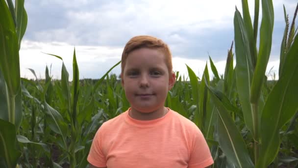 Долли Сняла Улыбающегося Рыжего Мальчика Смотрящего Камеру Фоне Кукурузного Поля — стоковое видео