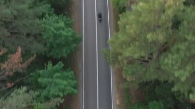 Orman yolunda motosikletli bir adam. Motosikletli, kır yolunda motosikletiyle yarışıyor. Yolculuk sırasında bisiklet süren adam. Seyahat sırasında motorcu. Özgürlük ve yolculuk kavramı. Hava Görüntüsü Üst Görünüm.
