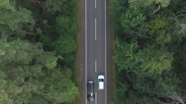 Yeşil ormanda yol boyunca giden beyaz arabanın üst görüntüsü. Yaz günü kırsal bölgede araba kullanmak. Güzel bir sezonda arazi aracının manzarası çok güzel. Tatil seyahati kavramı. Hava görüntüsü.