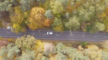Beyaz araba, sarı sonbahar ormanlarında yol alıyor. Sonbahar sezonunda kırsal yolda araba kullanmak. Güzel bir sonbahar sezonunda arazi manzarası boyunca giden bir SUV. Seyahat kavramı. Hava görüntüsü.