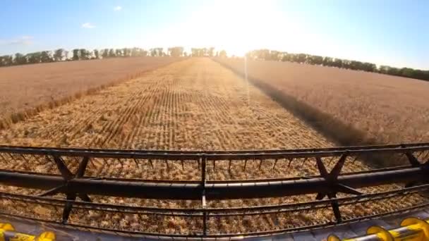収穫後に農地を通って乗馬を組み合わせる 収穫機のキャビンから日没と風光明媚な田園風景をご覧ください 農場で働く農業機械 農業の概念 収穫期 — ストック動画