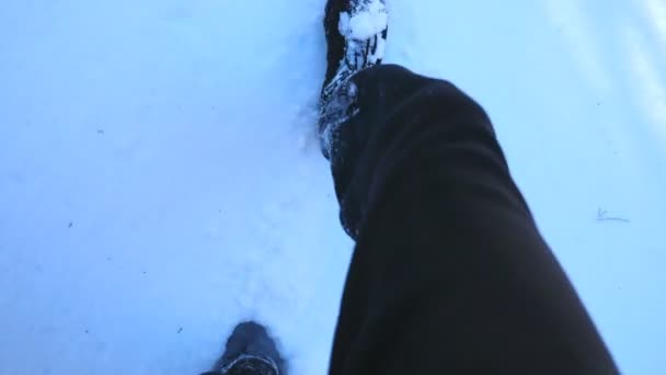 Вид Сверху Мужских Ног Наступающих Глубокий Снег Неузнаваемый Турист Мужчина — стоковое видео