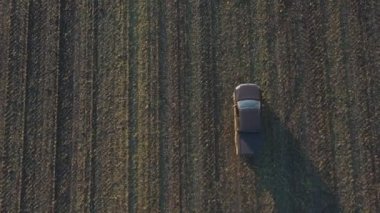 Sonbaharda tarlaların arasında uçan bir araba. Hasattan sonra tarladan geçen bir kamyonet. Otlakta giden off-road aracı. Tarım çiftçiliği kavramı. Hava görüntüsü.