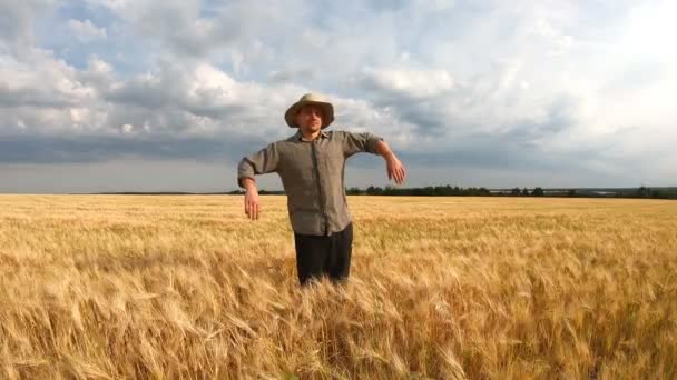 Mannelijke Boer Staat Gouden Tarweveld Ziet Eruit Als Een Vogelverschrikker — Stockvideo