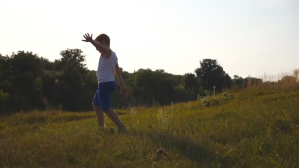 Mladý Chlapec Zdviženýma Rukama Pobíhající Zelené Trávě Louce Slunečného Dne — Stock video