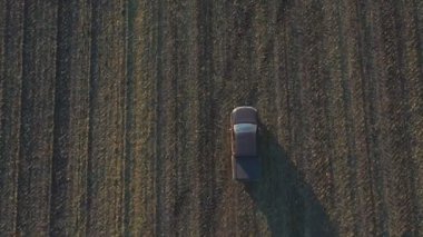 Sonbaharda tarlaların arasında uçan bir araba. Hasattan sonra tarladan geçen bir kamyonet. Otlakta giden off-road aracı. Tarım çiftçiliği kavramı. Hava görüntüsü.