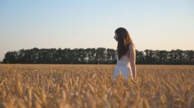 Side view to attractive woman walking through wheat field at sunny day. Camera tracking girl enjoying summer nature on meadow with ripe golden crop ears. Freedom concept. Slow motion Dolly shot.
