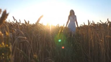 Young girl in white dress walking through wheat field with bright sunset at background. Carefree woman enjoying scenic summer nature on meadow. Concept of freedom or agriculture. Slow motion Low view.