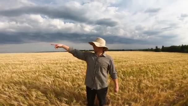 Hombre Agricultor Dando Entrevista Sobre Agricultura Tierras Cultivo Prado Cebada — Vídeos de Stock