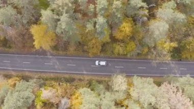 Beyaz araba, sarı sonbahar ormanlarında yol alıyor. Sonbahar sezonunda kırsal yolda araba kullanmak. Güzel bir sonbahar sezonunda arazi manzarası boyunca giden bir SUV. Seyahat kavramı. Hava görüntüsü.