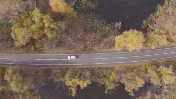 秋天的时候 汽车穿过美丽的乡村道路 黄秋森林湖畔的乡间小径上 汽车驶过 春秋季节空中拍摄的越野车在风景秀丽的风景中穿行 顶部视图 — 图库视频影像