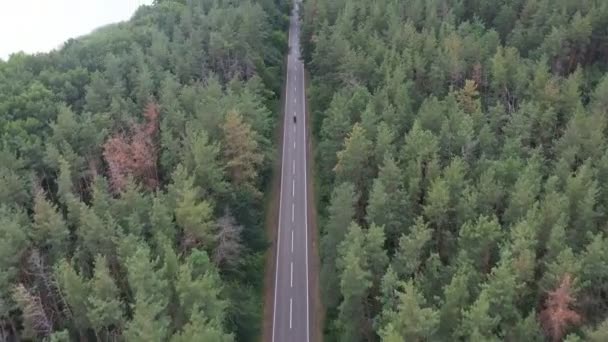 Mann Fährt Mit Motorrad Durch Waldweg Motorradfahrer Rast Mit Seinem — Stockvideo