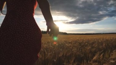 Kırmızı elbiseli mutlu kızın gün batımında elinde balonlarla altın buğday tarlasında koşuşması. Kahverengi saçlı genç kadın arpa çayırında koşarken eğleniyor. Özgürlük kavramı.