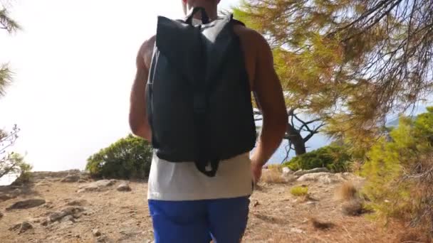 Escursionista Con Zaino Che Raggiunge Vetta Alza Mani Ammirando Panoramico — Video Stock